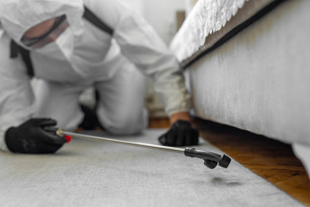 Professional Pest Control technician working in Dougherty County County, GA